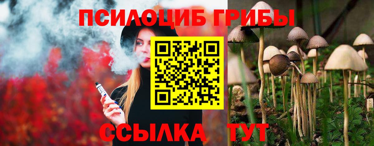 Псилоцибиновые грибы Psilocybine cubensis  даркнет сайт  Медногорск  Вход с VPN 