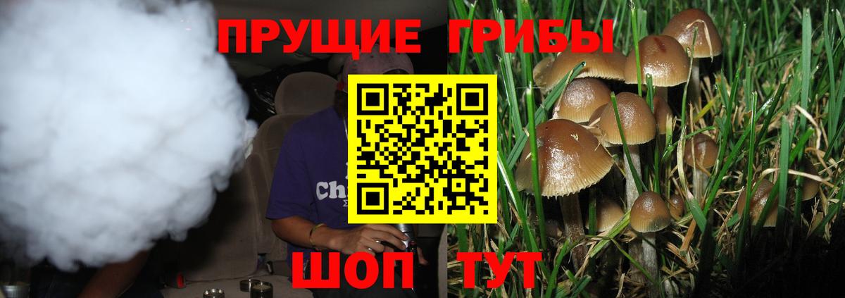 Псилоцибиновые грибы мухоморы Медногорск